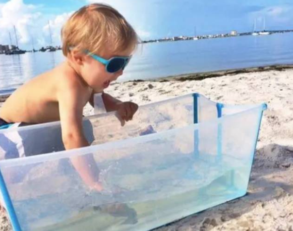 1504010005192389.png image.png