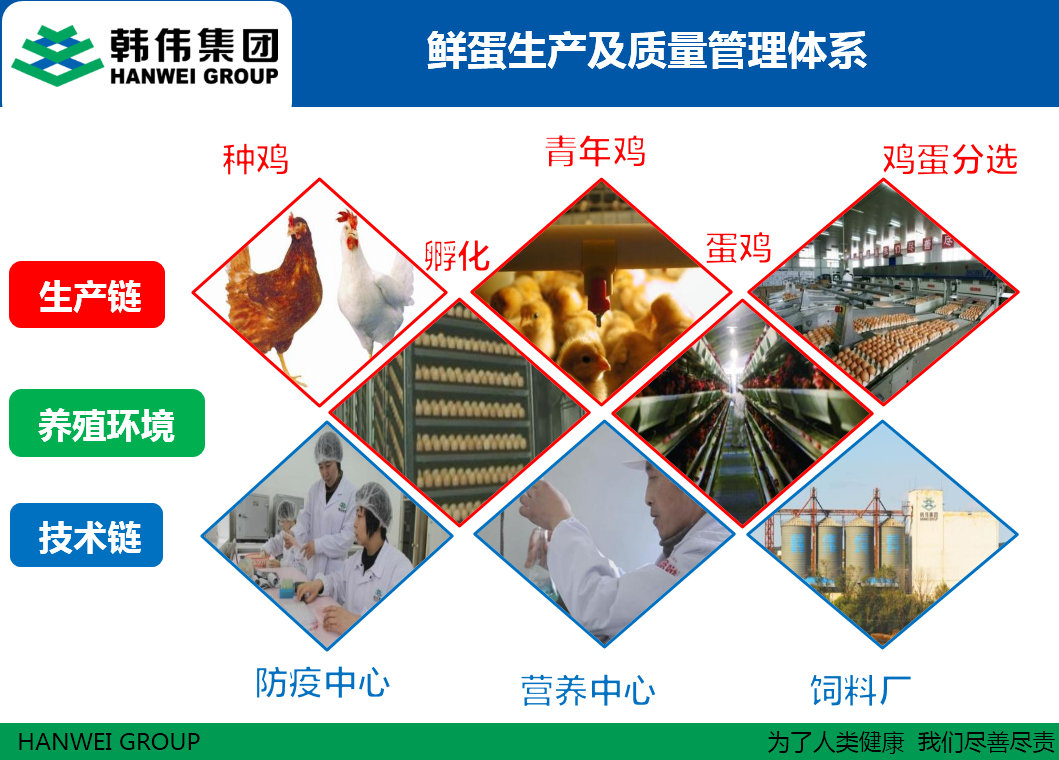 韓偉集團(tuán)鮮蛋生產(chǎn)及質(zhì)量管理體系